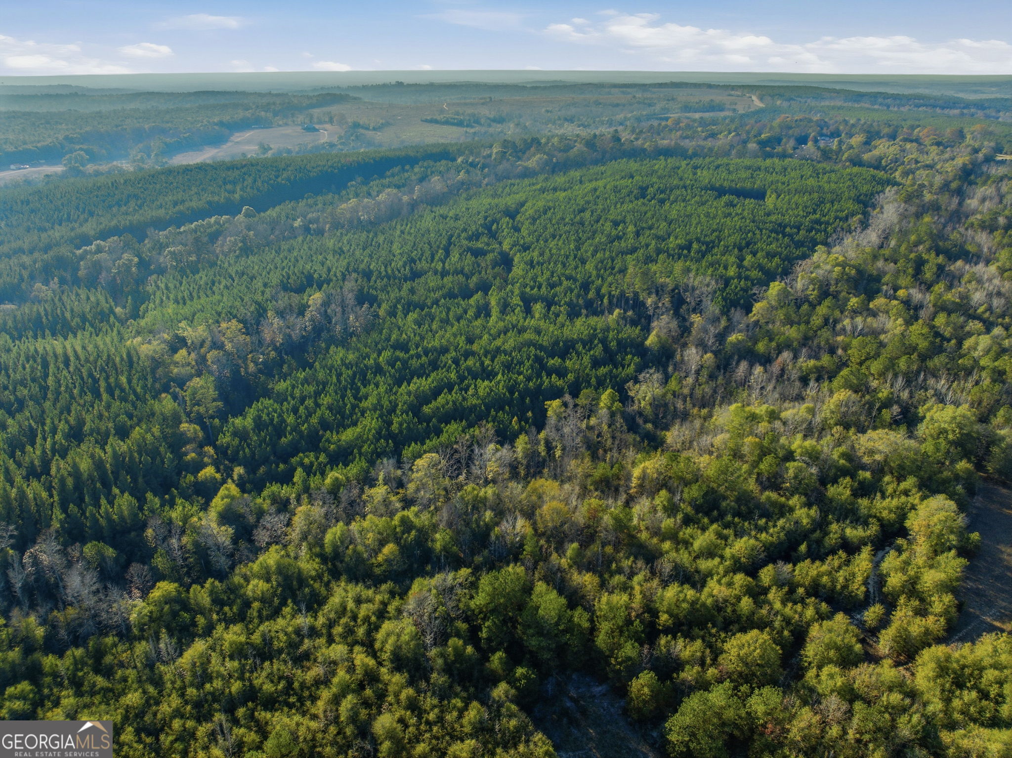 60.06-ac Daisy Walker Road Tennille, GA 31089 - Photo 13 of 22