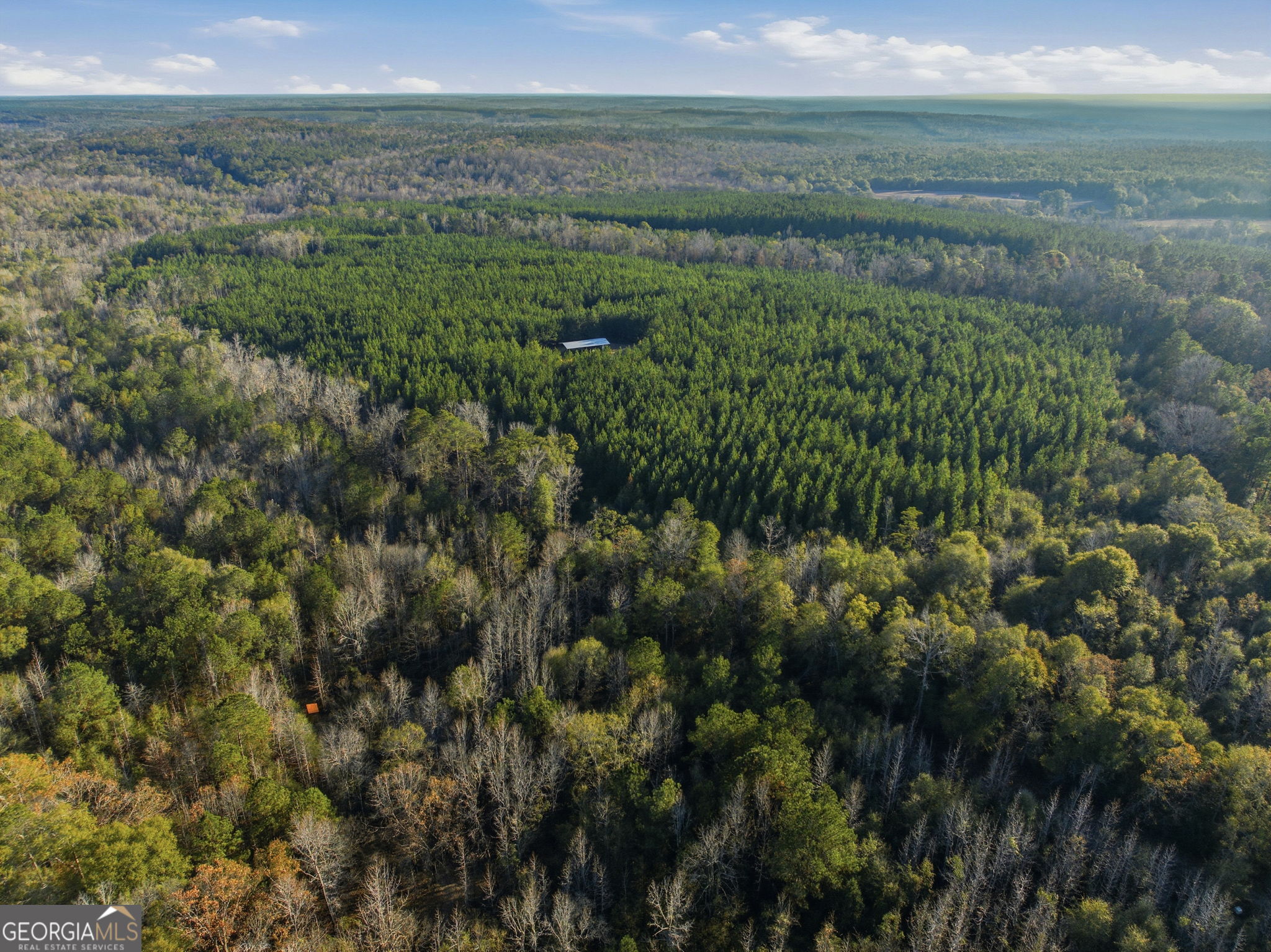 60.06-ac Daisy Walker Road Tennille, GA 31089 - Photo 14 of 22