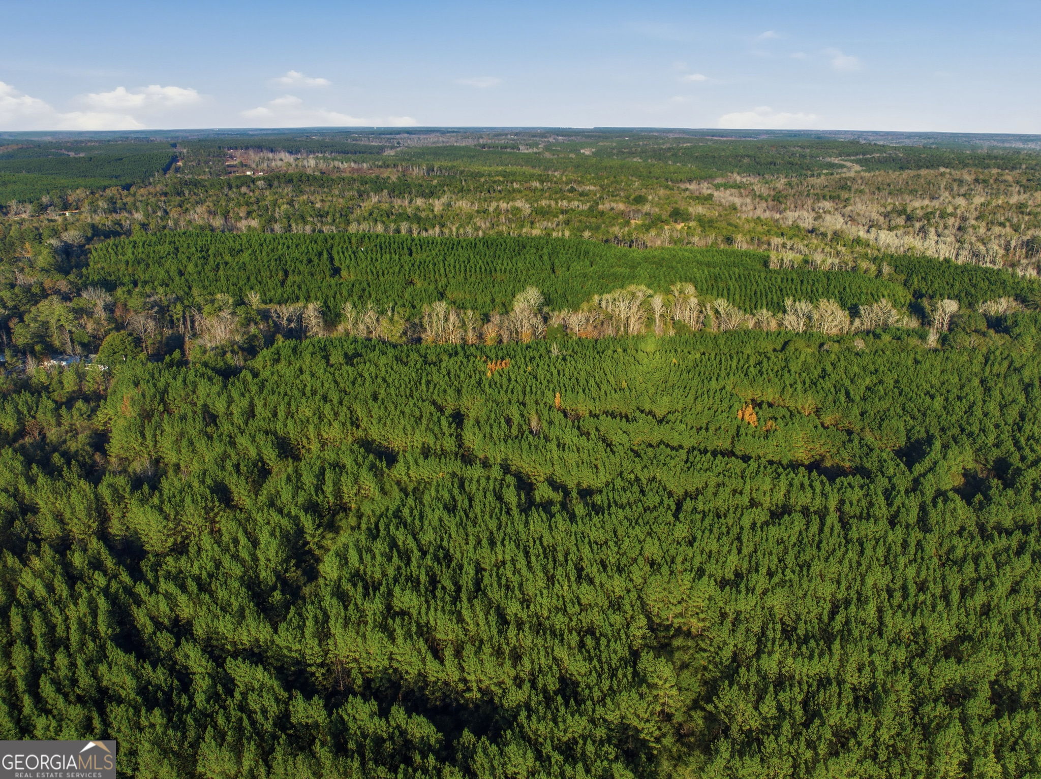 60.06-ac Daisy Walker Road Tennille, GA 31089 - Photo 15 of 22