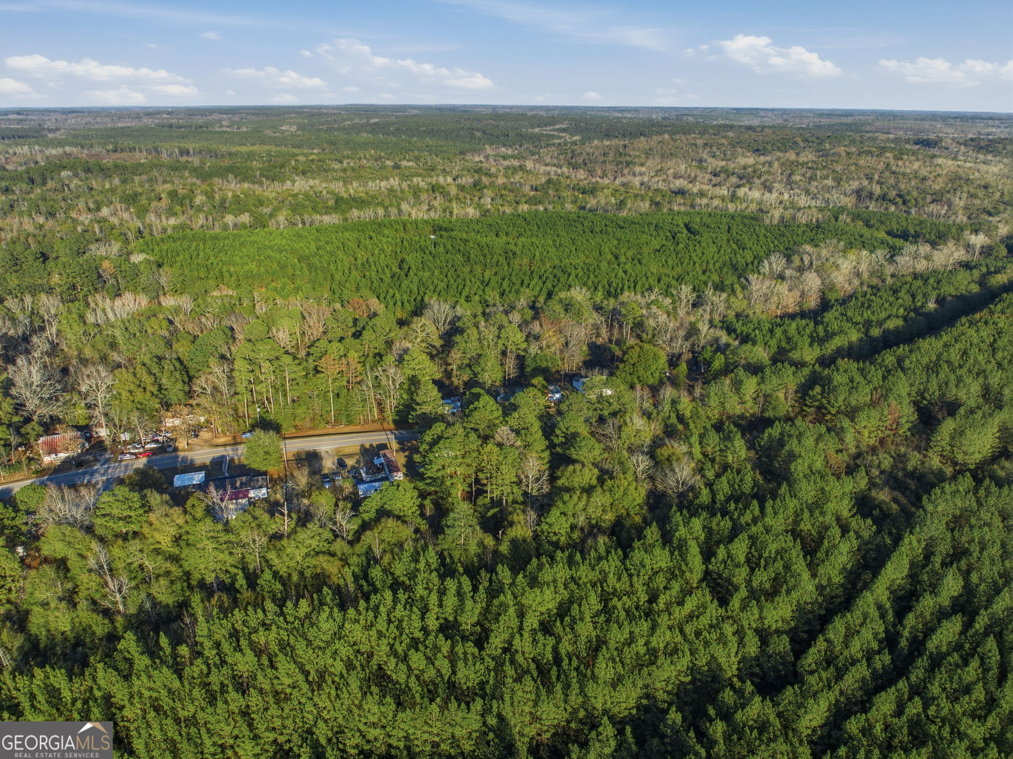 60.06-ac Daisy Walker Road Tennille, GA 31089 - Photo 17 of 22