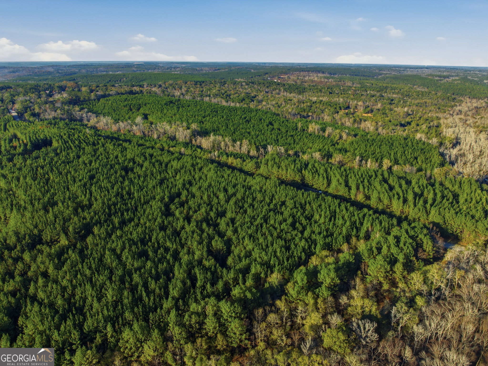 60.06-ac Daisy Walker Road Tennille, GA 31089 - Photo 18 of 22