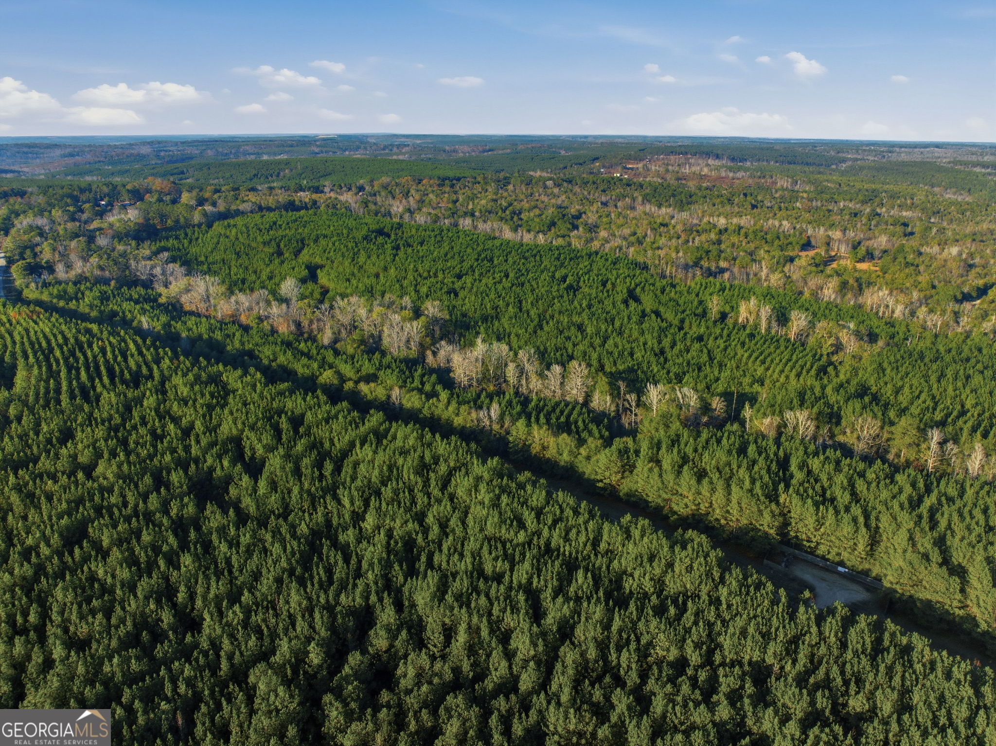 60.06-ac Daisy Walker Road Tennille, GA 31089 - Photo 19 of 22