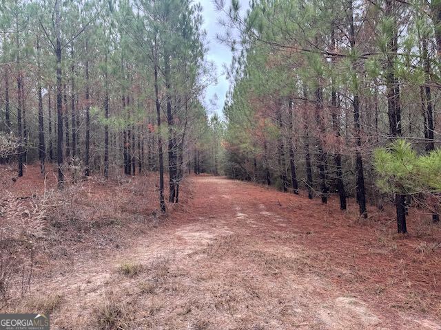 60.06-ac Daisy Walker Road Tennille, GA 31089 - Photo 2 of 22