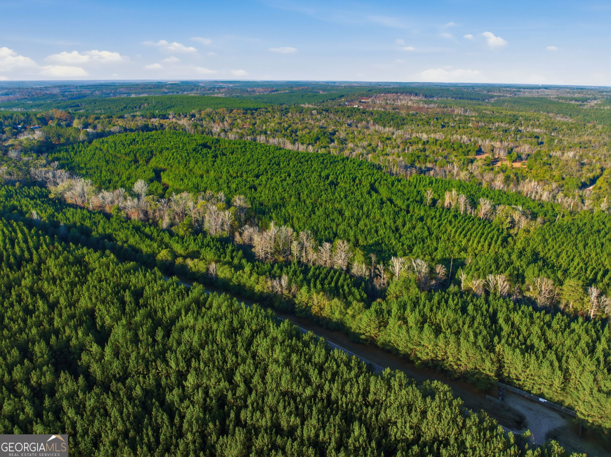 60.06-ac Daisy Walker Road Tennille, GA 31089 - Photo 22 of 22