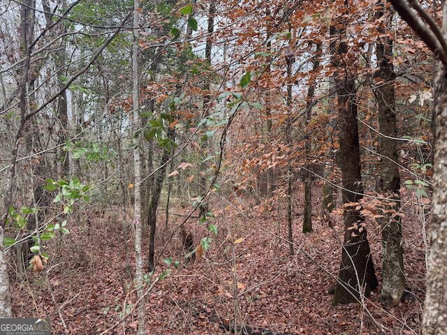 60.06-ac Daisy Walker Road Tennille, GA 31089 - Photo 3 of 22