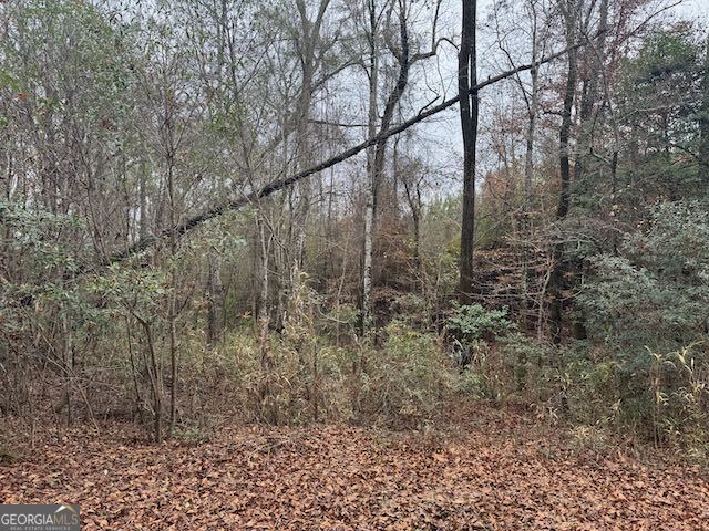 60.06-ac Daisy Walker Road Tennille, GA 31089 - Photo 4 of 22