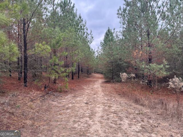 60.06-ac Daisy Walker Road Tennille, GA 31089 - Photo 5 of 22