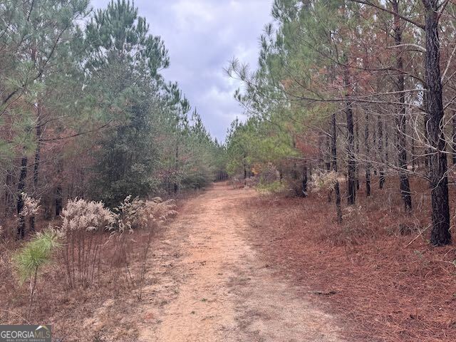 60.06-ac Daisy Walker Road Tennille, GA 31089 - Photo 6 of 22