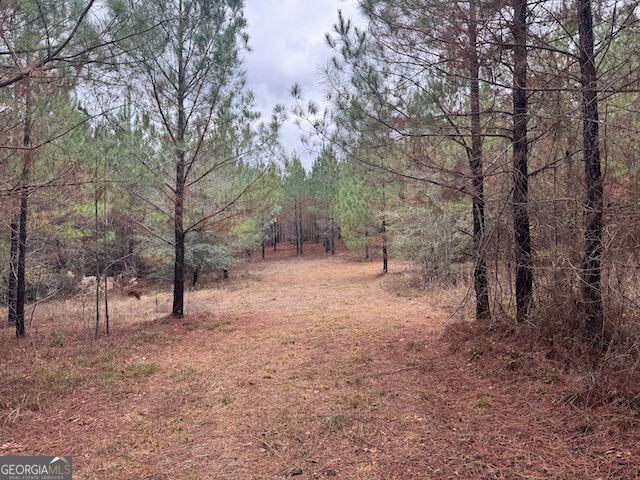 60.06-ac Daisy Walker Road Tennille, GA 31089 - Photo 8 of 22