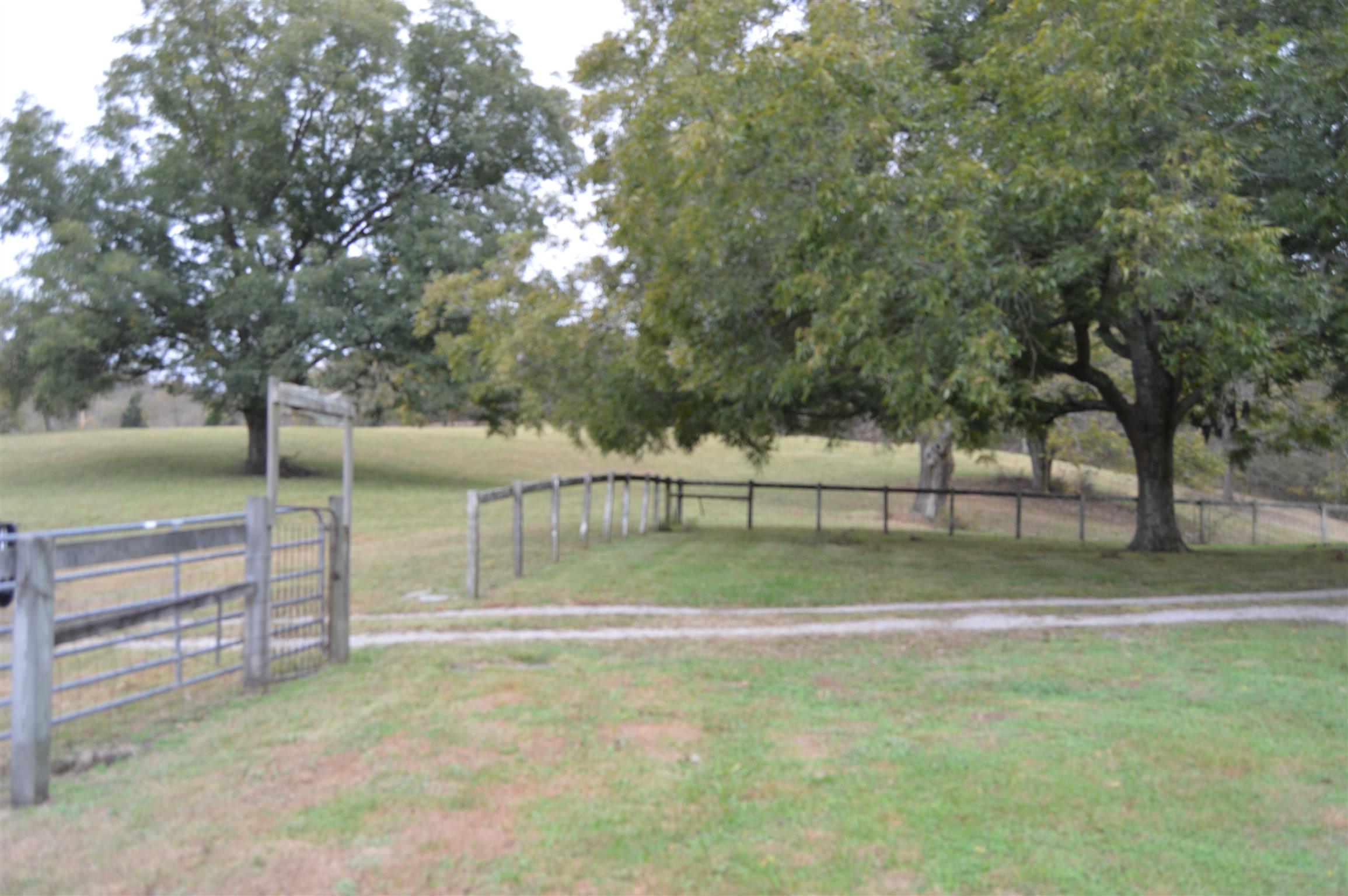 1854 Preacher Holt Road Mount Pleasant, TN 38474 - Photo 20 of 30 Gallery Image 20