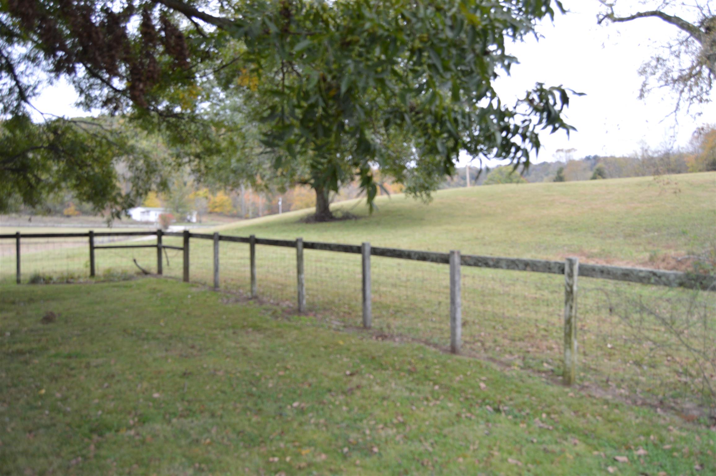 1854 Preacher Holt Road Mount Pleasant, TN 38474 - Photo 23 of 30 Gallery Image 23