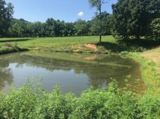 1854 Preacher Holt Road Mount Pleasant, TN 38474 - Photo 28 of 30 Pond