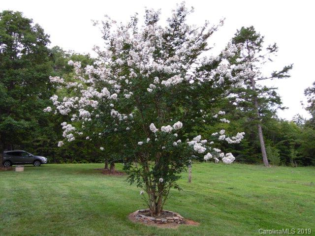 851 Old Neal Road Marion, NC 28752 - Photo 5 of 17 Gallery Image 5