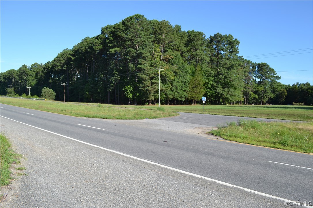 18619 Hull Street Road Moseley, VA 23120 - Photo 2 of 23 a view of a yard with a plants and trees