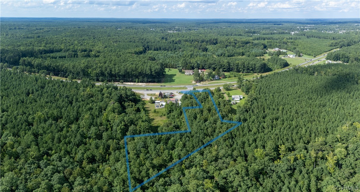 18619 Hull Street Road Moseley, VA 23120 - Photo 22 of 23 a view of a lush green forest with trees and some houses