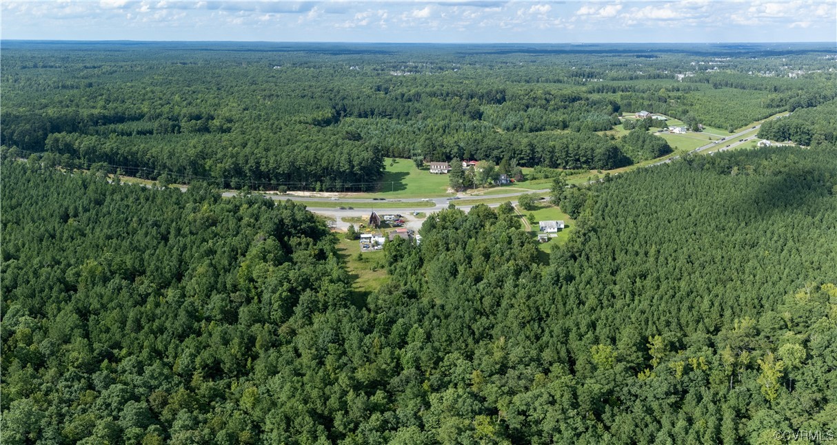 18619 Hull Street Road Moseley, VA 23120 - Photo 6 of 23 a view of a lush green forest with trees and some houses