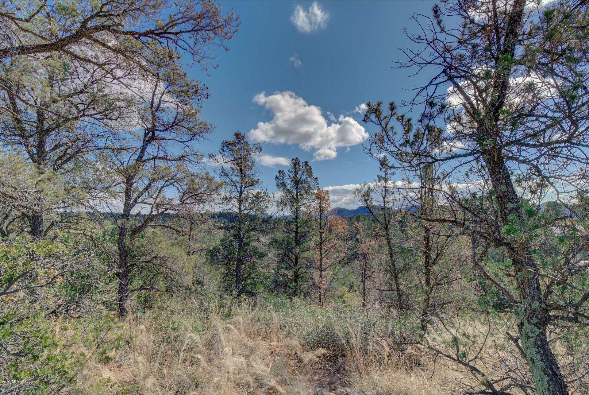 601 North Briarwood Road, Unit 1 Payson, AZ 85541 - Photo 12 of 19 Photo 12