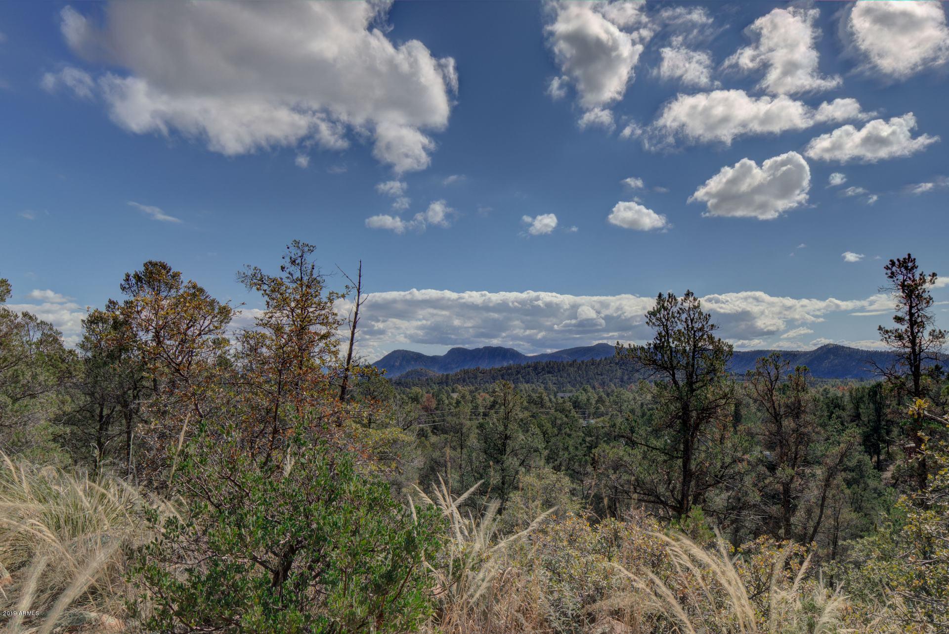 601 North Briarwood Road, Unit 1 Payson, AZ 85541 - Photo 13 of 19 Photo 13