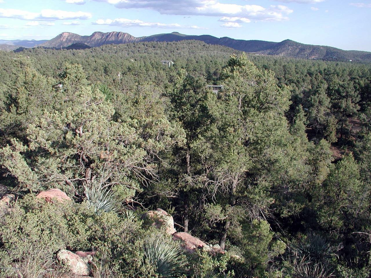 601 North Briarwood Road, Unit 1 Payson, AZ 85541 - Photo 3 of 19 Photo 03