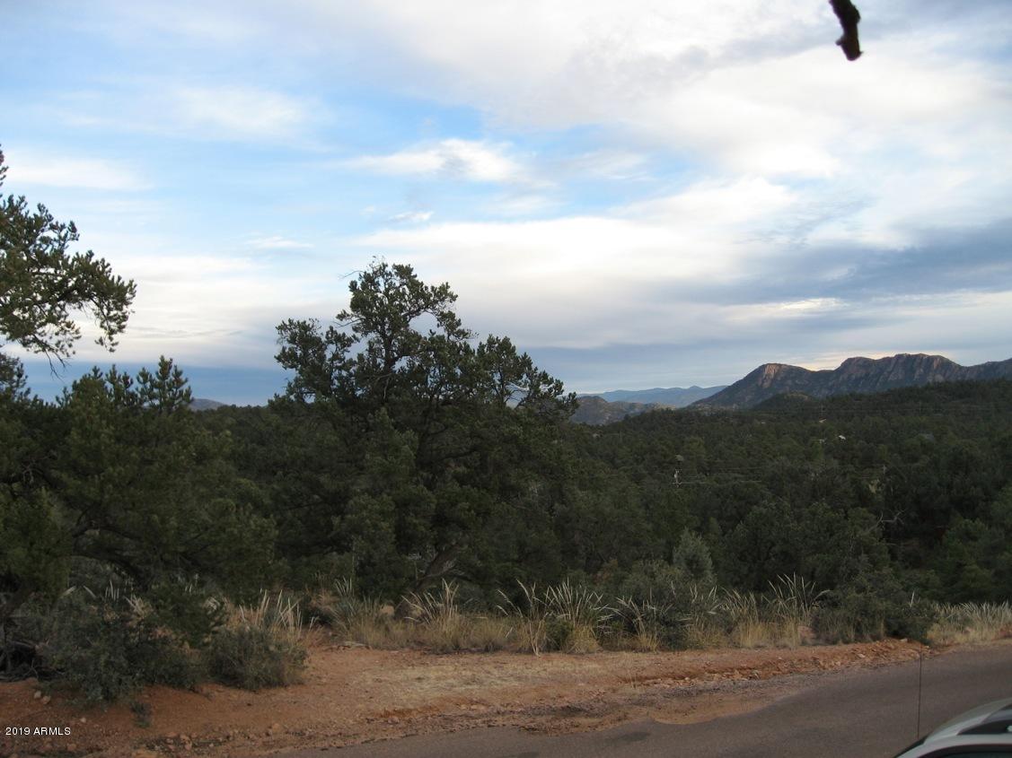 601 North Briarwood Road, Unit 1 Payson, AZ 85541 - Photo 5 of 19 Photo 05