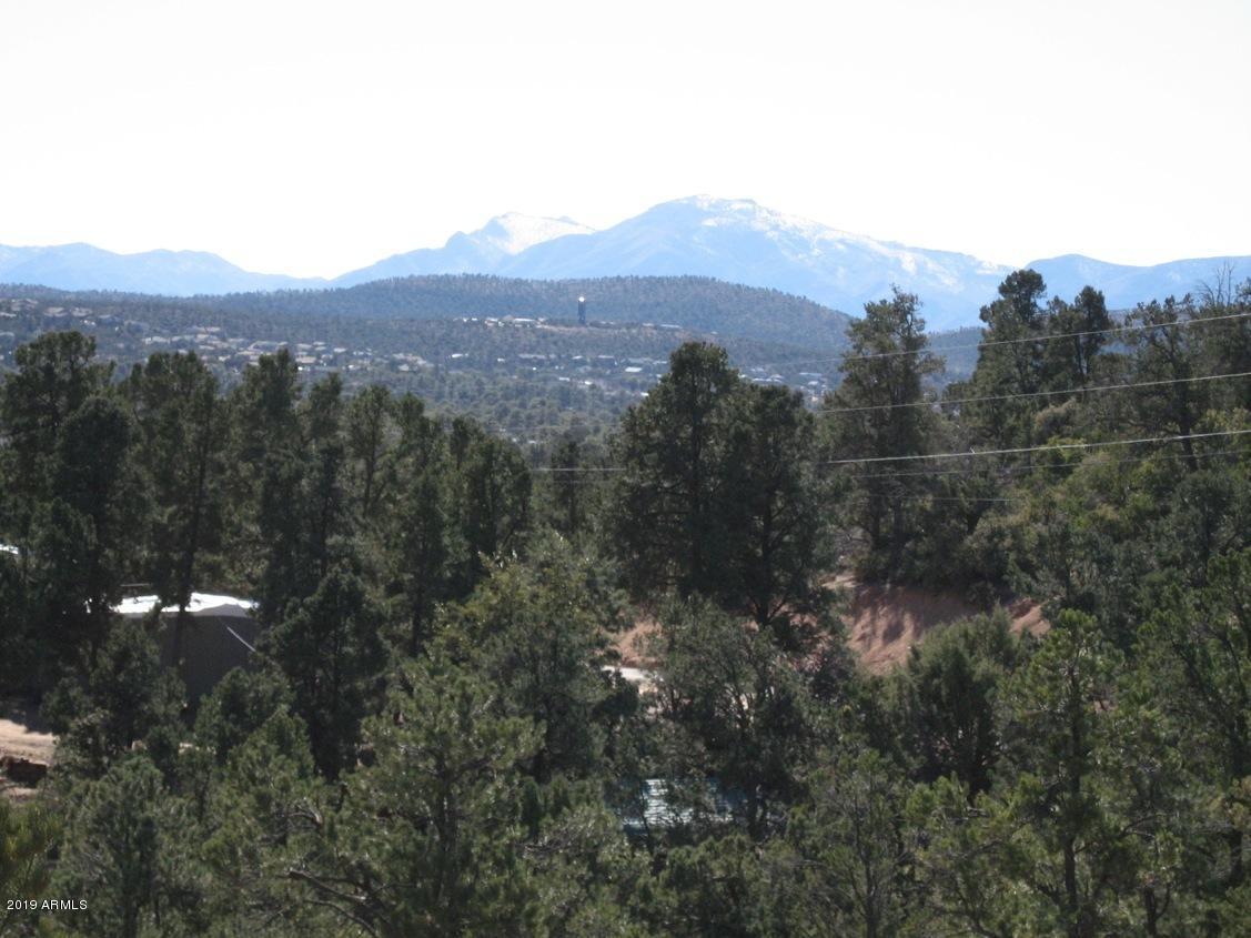 601 North Briarwood Road, Unit 1 Payson, AZ 85541 - Photo 6 of 19 Photo 06