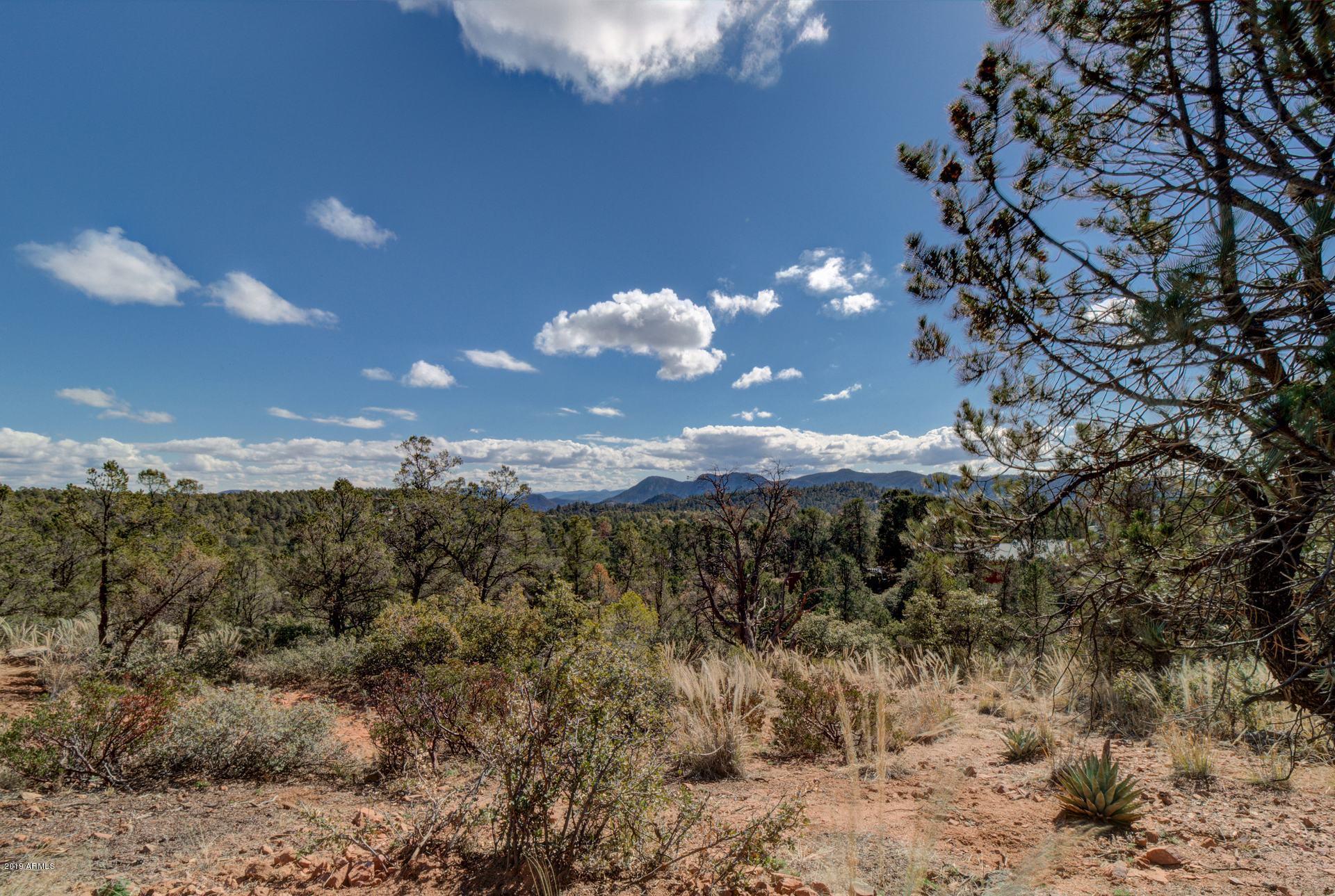 601 North Briarwood Road, Unit 1 Payson, AZ 85541 - Photo 8 of 19 Photo 08