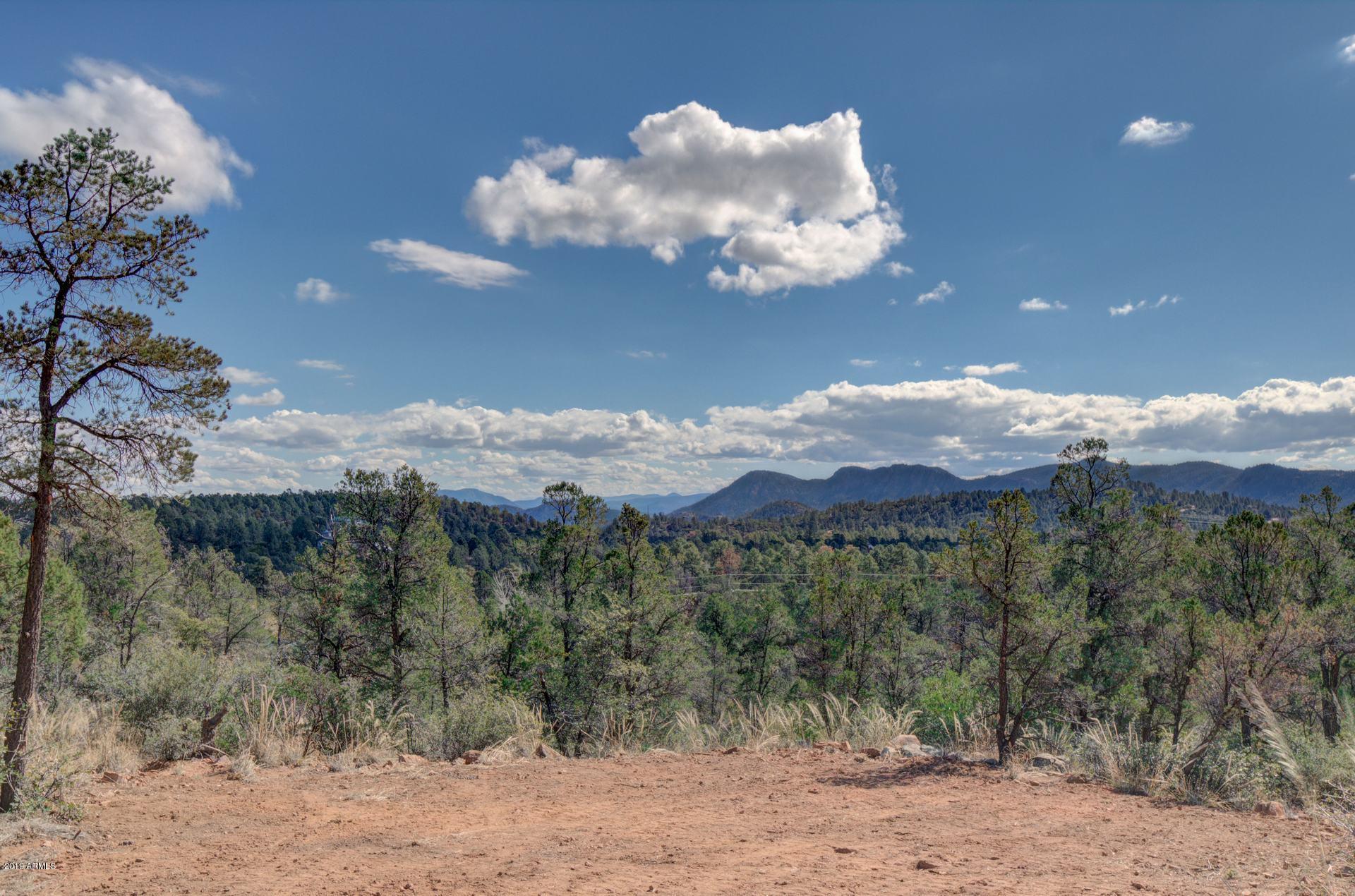 601 North Briarwood Road, Unit 1 Payson, AZ 85541 - Photo 9 of 19 Photo 09