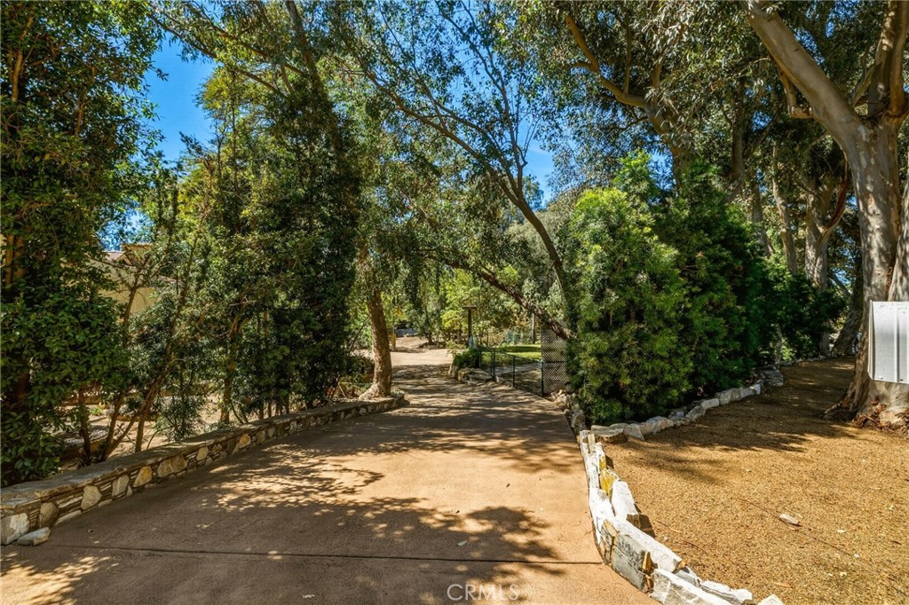 14 Johns Canyon Road Rolling Hills, CA 90274 - Photo 11 of 45 a view of a yard with large tree