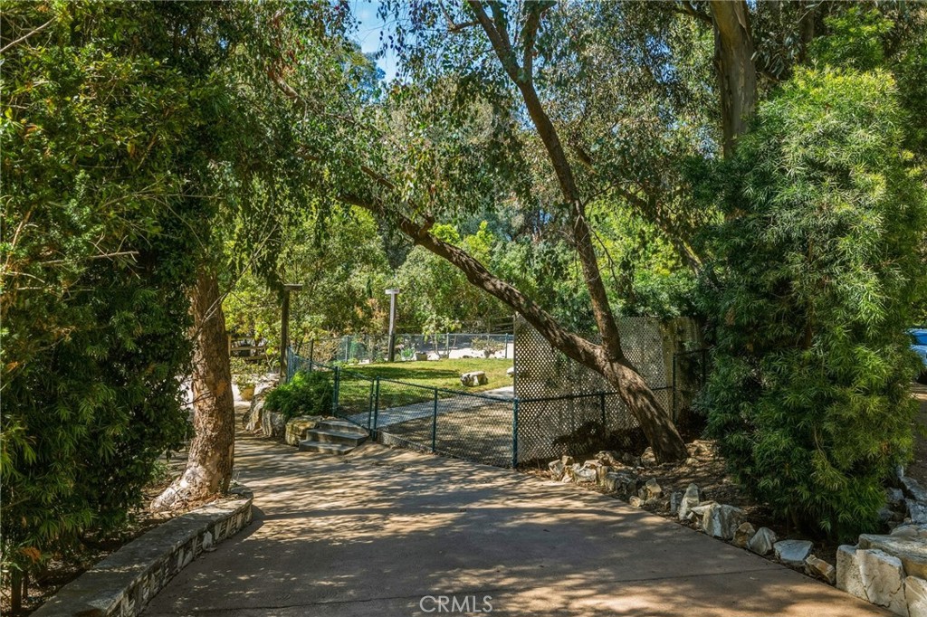 14 Johns Canyon Road Rolling Hills, CA 90274 - Photo 16 of 45 a view of a park that has large trees with wooden fence