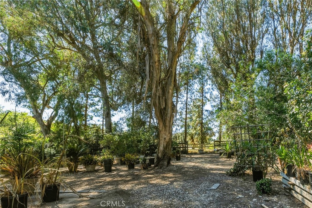 14 Johns Canyon Road Rolling Hills, CA 90274 - Photo 21 of 45 a view of outdoor space and yard
