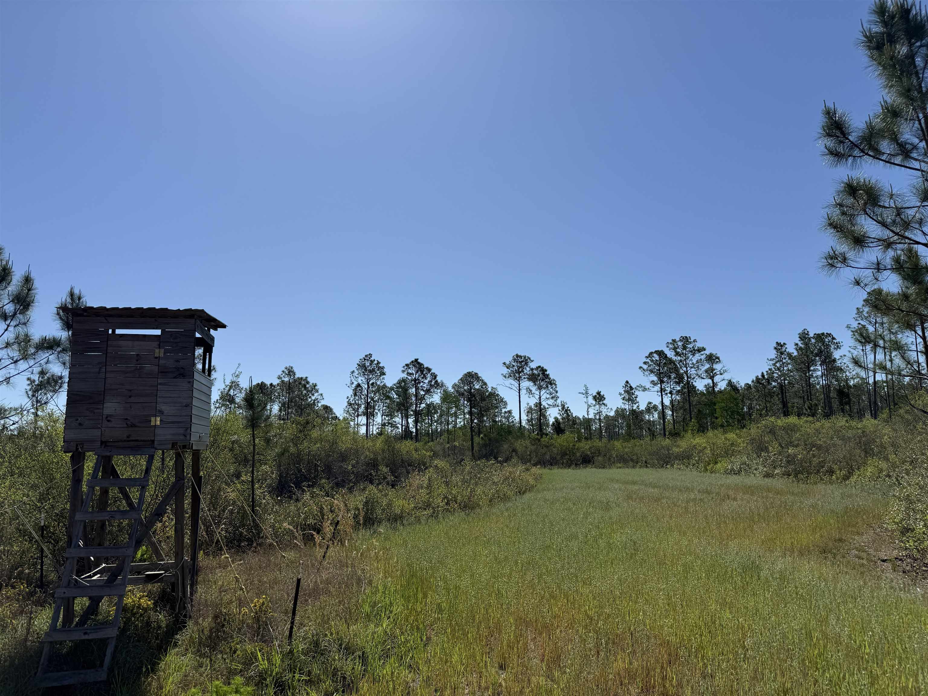 0 Madison Main Line Road Perry, FL 32347 - Photo 38 of 50