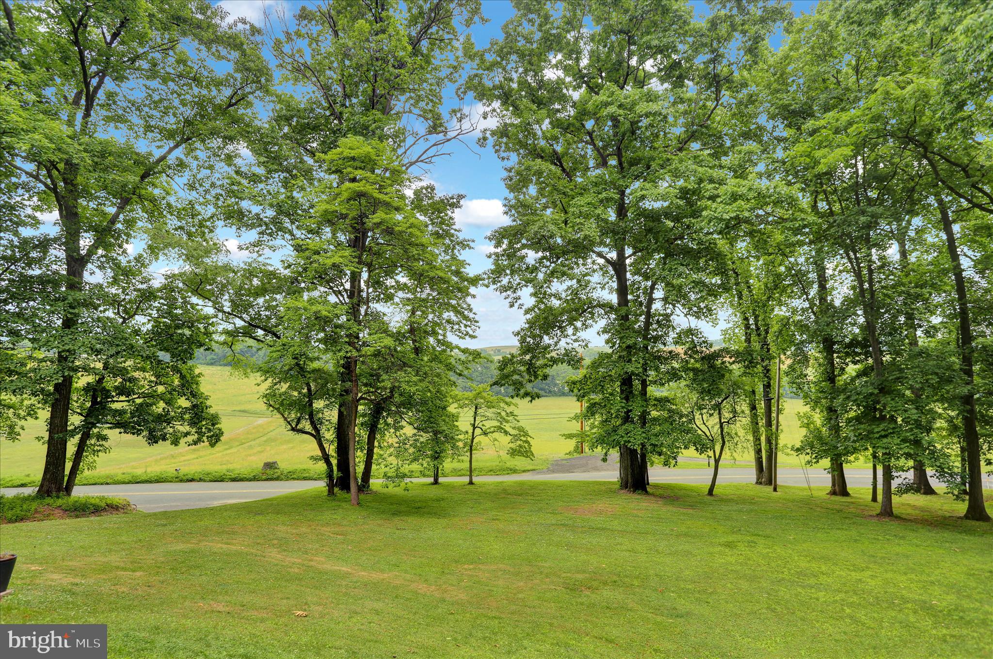 547 Seidels Run Road Leesport, PA 19533 - Photo 14 of 48 Front yard w view towards Seidel Run Rd.