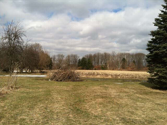 4940 Blue Bush Road Monroe, MI 48162 - Photo 11 of 12 back yard