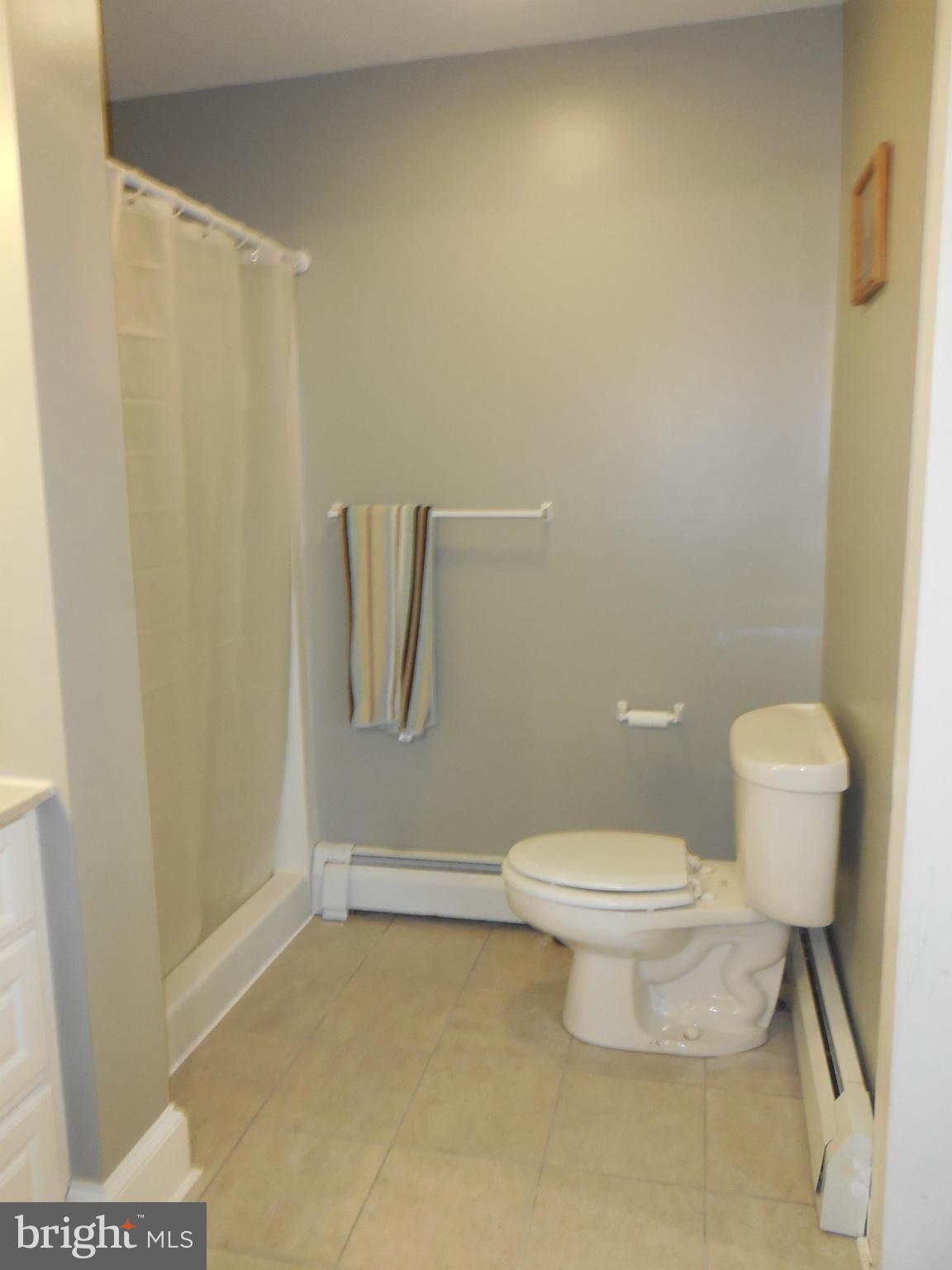2504 Marston Road New Windsor, MD 21776 - Photo 19 of 30 Bath (Master)