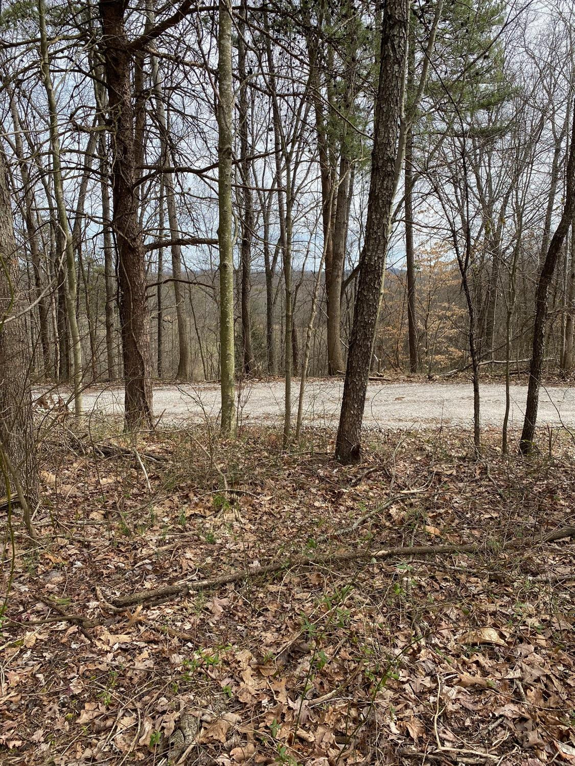 1111 Whitely Road London, KY 40744 - Photo 3 of 8 Photo 3