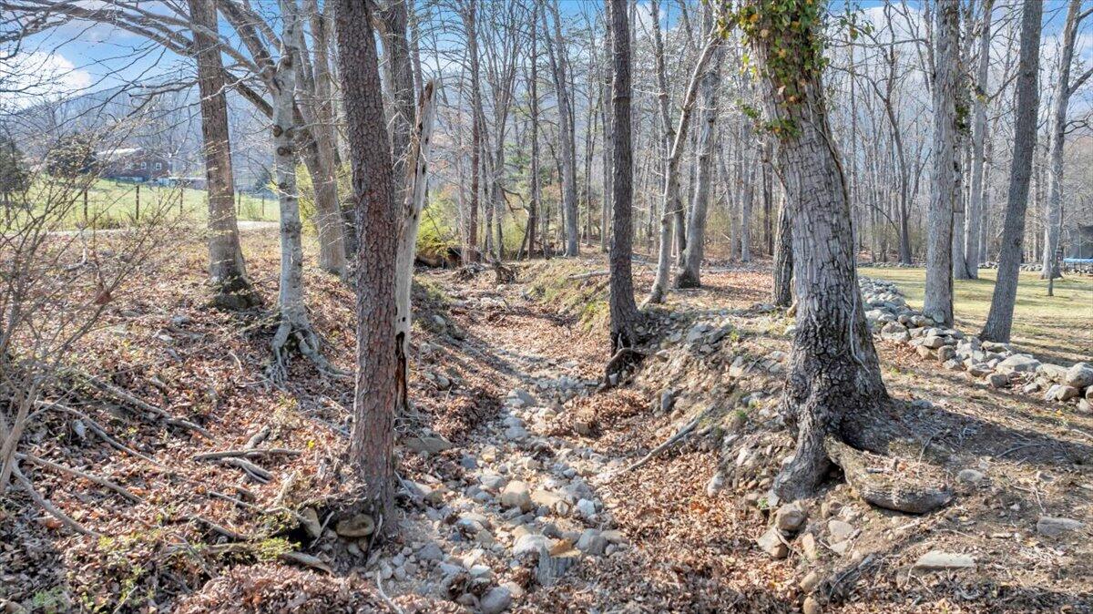 2545 Pico Road Buchanan, VA 24066 - Photo 38 of 55 53-DJI_20260326151102_0239_D