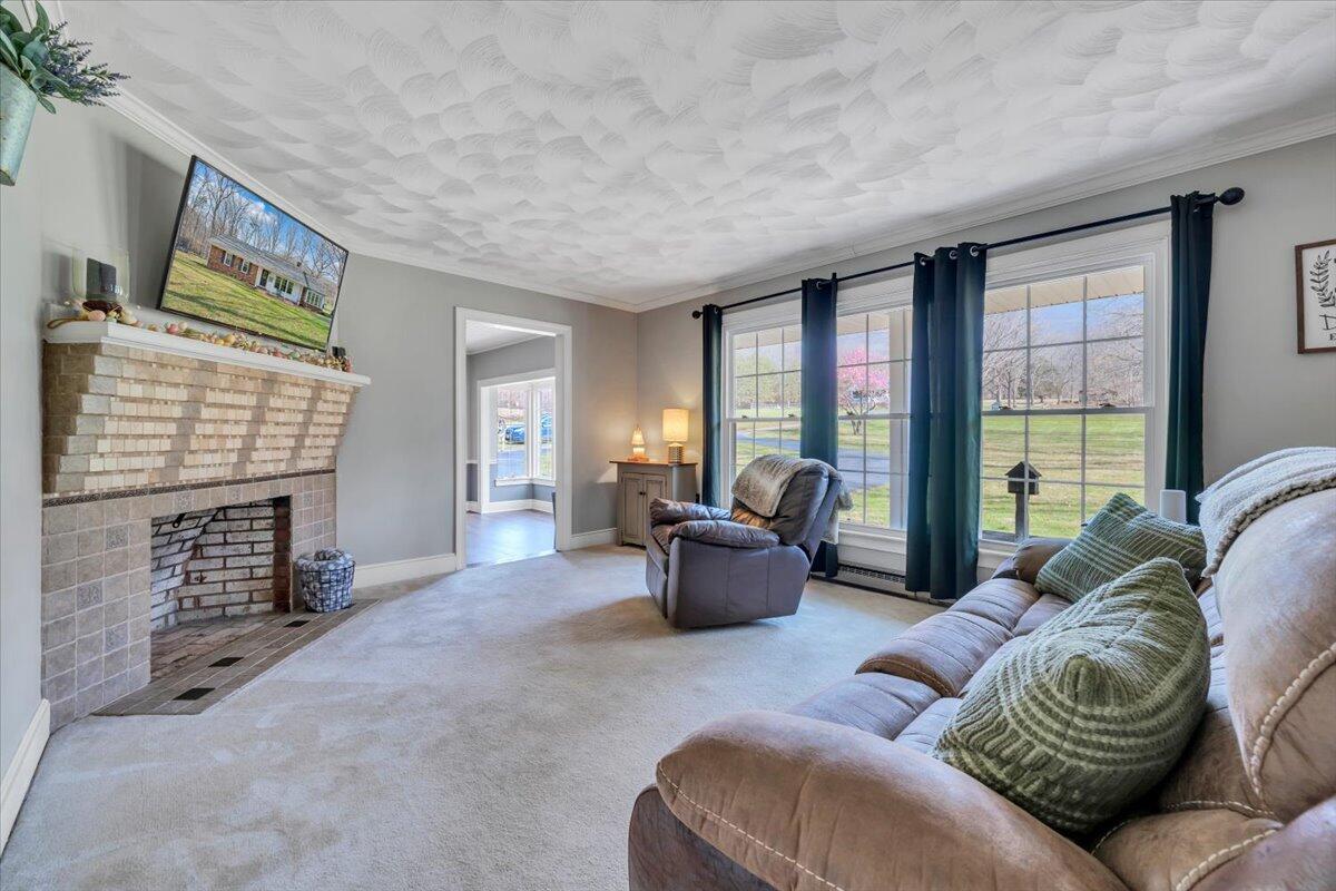 2545 Pico Road Buchanan, VA 24066 - Photo 4 of 55 08-MIB04803