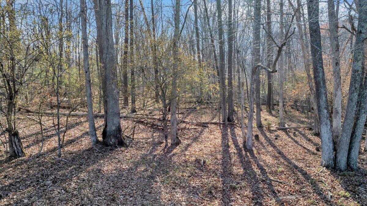 2545 Pico Road Buchanan, VA 24066 - Photo 46 of 55 66-DJI_20260326151715_0257_D