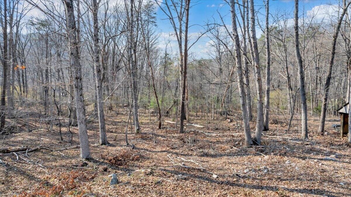 2545 Pico Road Buchanan, VA 24066 - Photo 47 of 55 67-DJI_20260326152021_0269_D