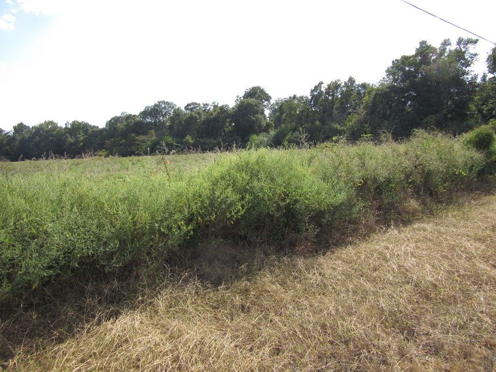 0 Baxter Road Webb, AL 36376 - Photo 7 of 8