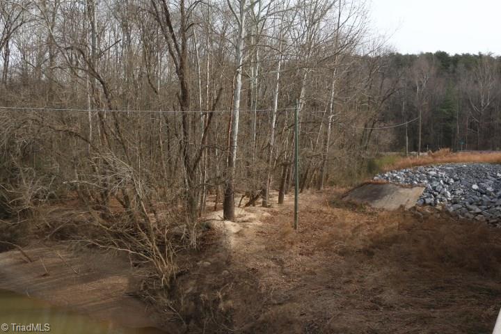 0 Pine Hall Road Pine Hall, NC 27042 - Photo 2 of 17 Gallery Image 2