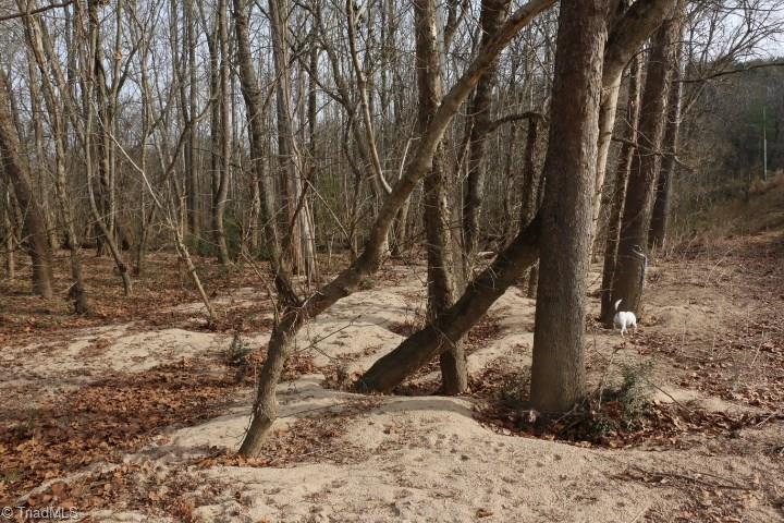 0 Pine Hall Road Pine Hall, NC 27042 - Photo 12 of 17 Gallery Image 12