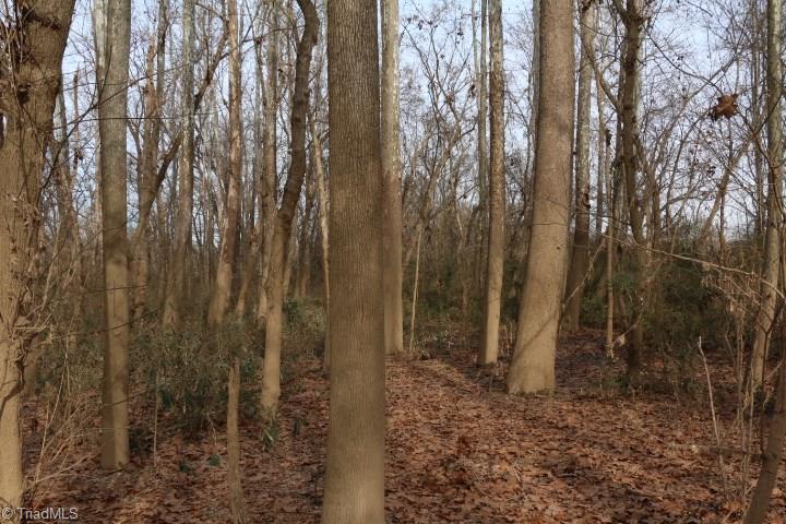 0 Pine Hall Road Pine Hall, NC 27042 - Photo 8 of 17 Gallery Image 8