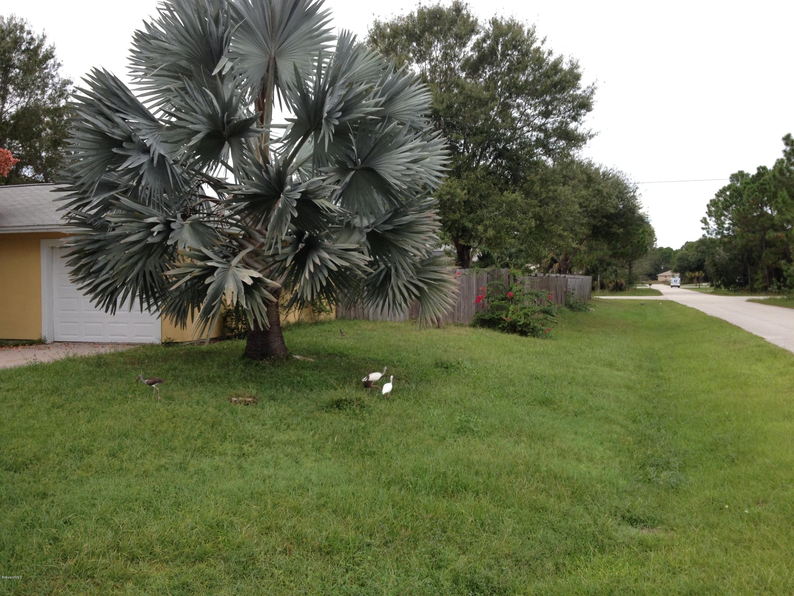 695 Airoso Road Southeast Palm Bay, FL 32909 - Photo 1 of 12 AIROSO 013