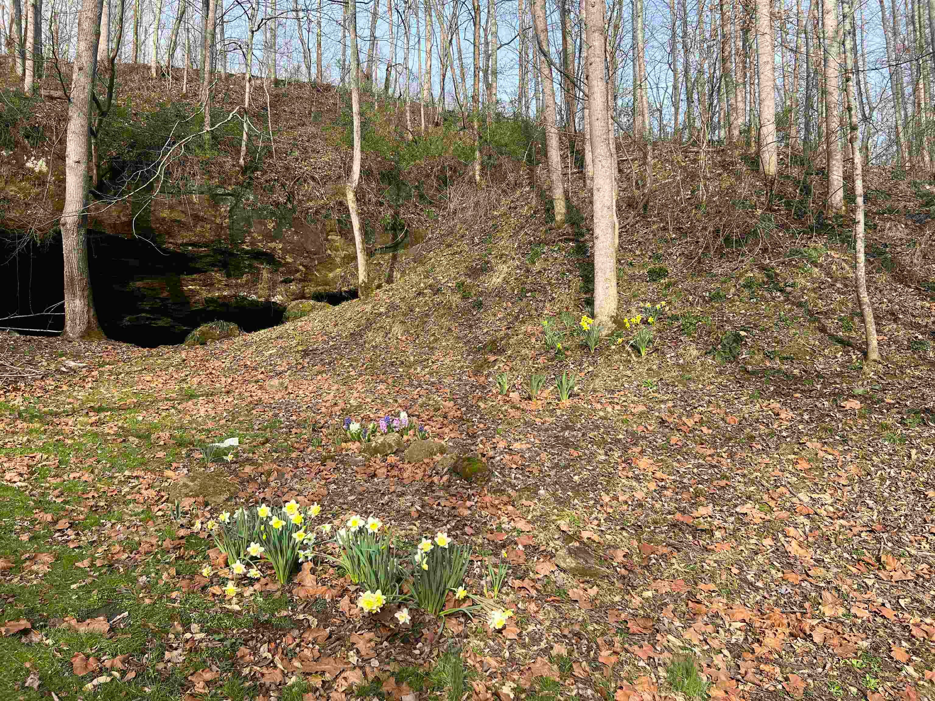 128 Genoa Hill Road Genoa, WV 25517 - Photo 18 of 20 Gallery Image 18