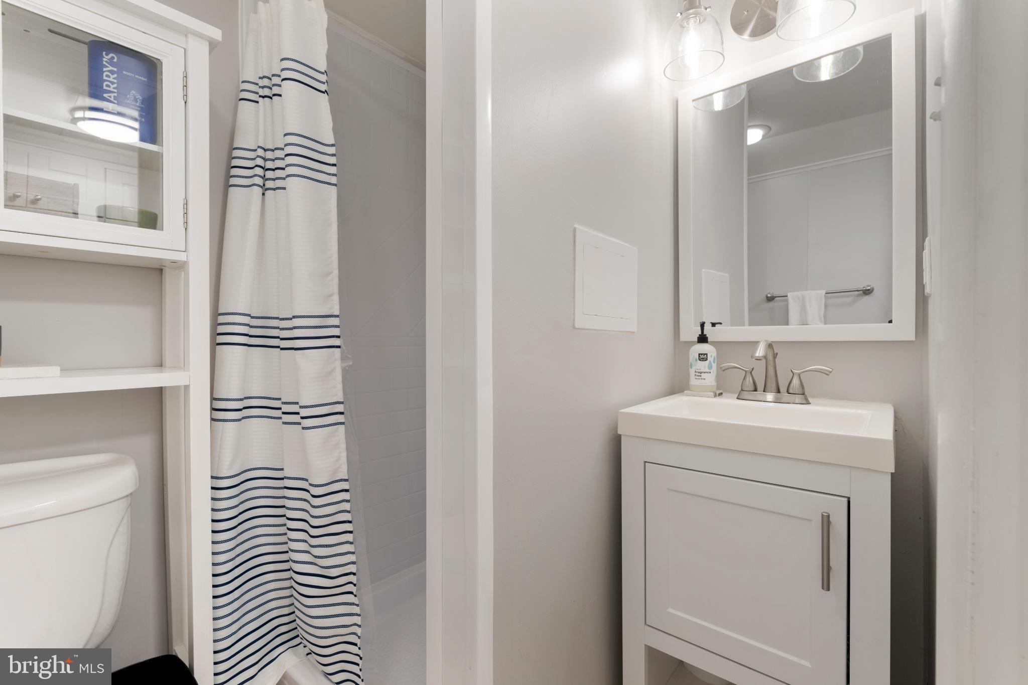 318 Hopkins Road Baltimore, MD 21212 - Photo 31 of 37 Lower level full bathroom