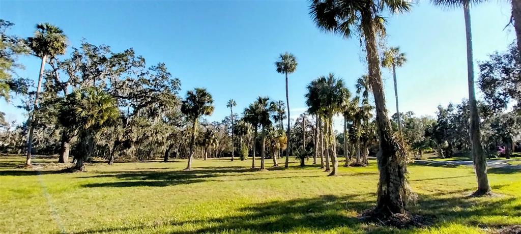 11105 Winn Road Riverview, FL 33569 - Photo 1 of 22