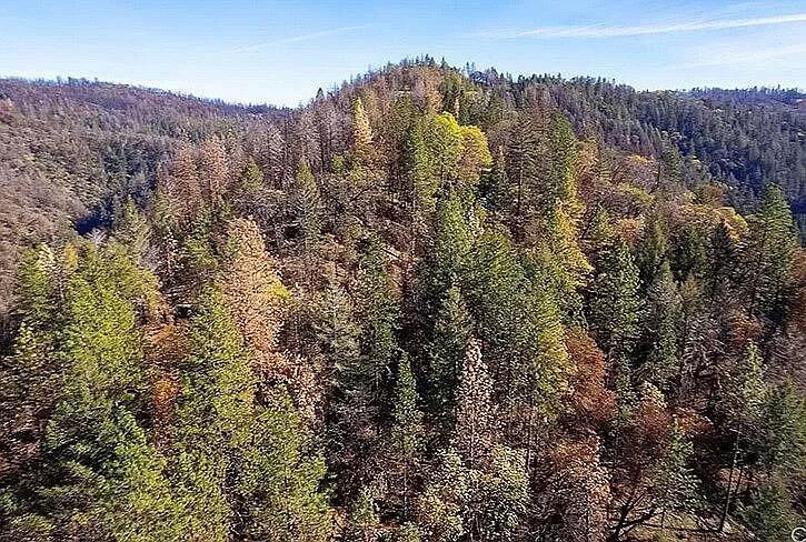 Toomes Camp Road Red Bluff, CA 96080 - Photo 1 of 1 a view of a dry yard
