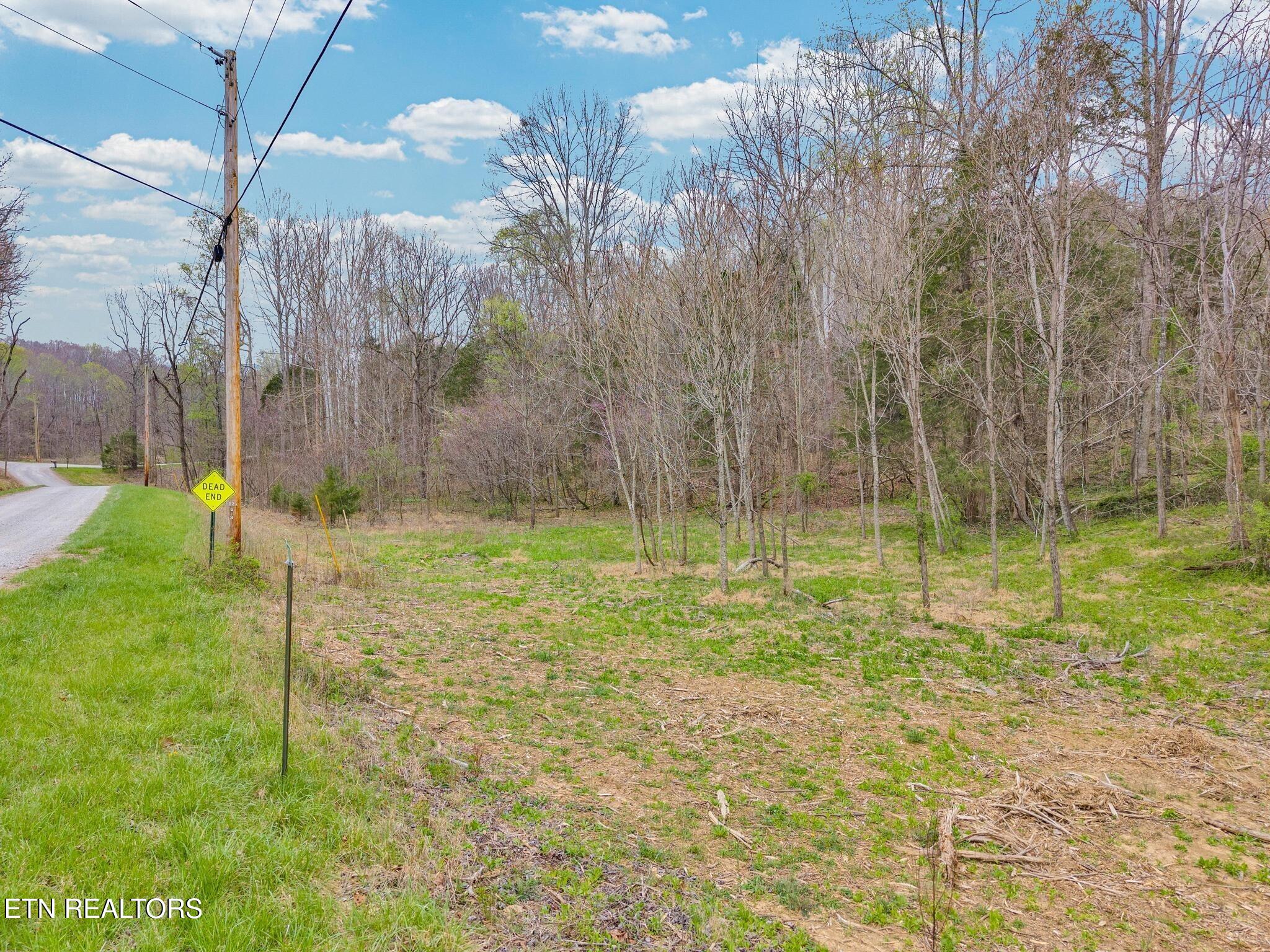 6.12-ac Cave Valley Road Byrdstown, TN 38549 - Photo 2 of 11 1