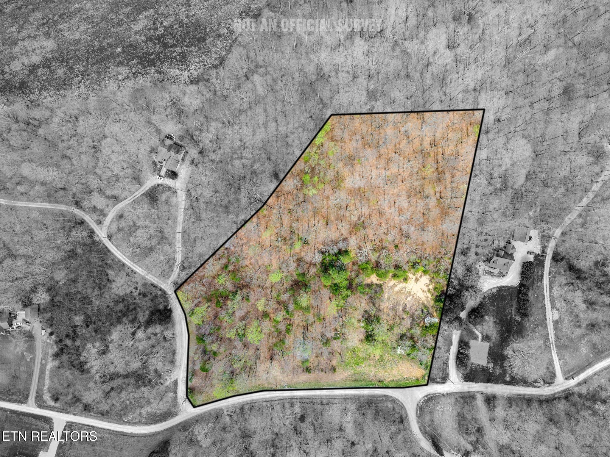 6.12-ac Cave Valley Road Byrdstown, TN 38549 - Photo 4 of 11 3